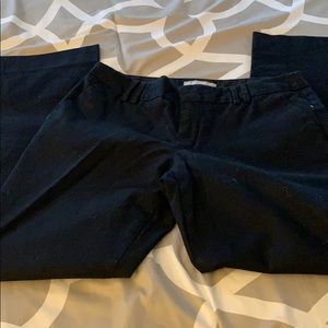 Petite Black pants